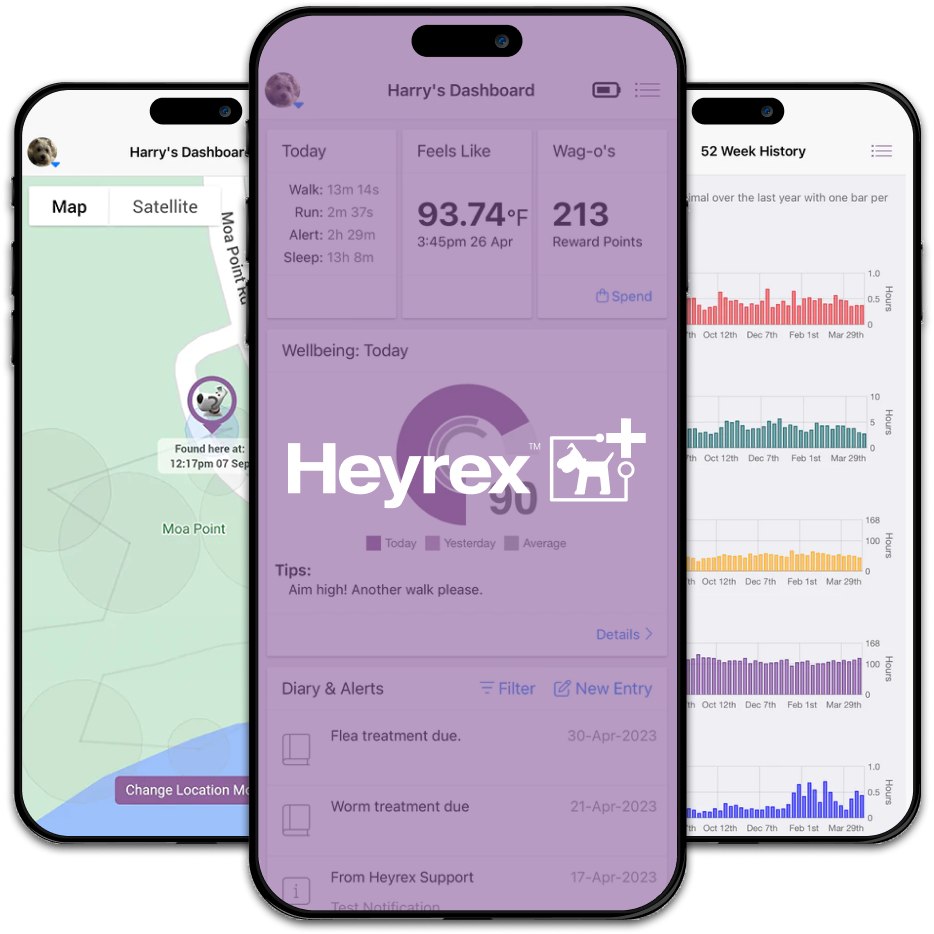 Heyrex Food And Calorie Information Heyrex heyrex-food-and-calorie-information-heyrex