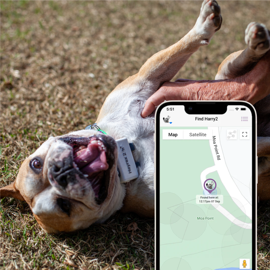 Hot Deal - Free Device with Connectivity - Limited Time