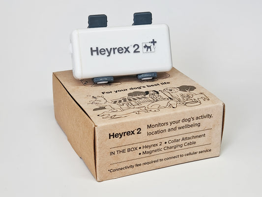 Hot Deal - Bundled device with connectivity - Limited Time